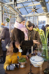 Familj som beundrar amaryllis i en vas, inne i växthuset.