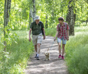 Man och en flicka går med hundvalp mellan sig, på stig genom ljust grön lövskog. 