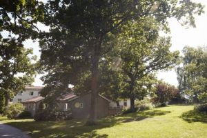 Villa och grönområde