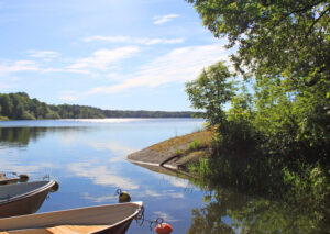 Naturbild Drevviken