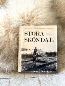 boken_stora_skondal